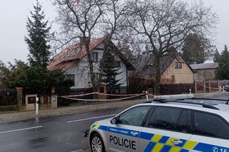 Obec Hostouň a Klánovický les spojují dva vrahy. Střelce z fakulty a Lubinu - Novinky